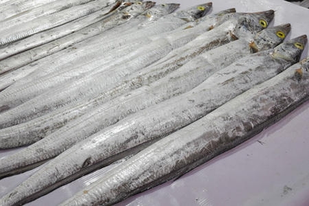 山西侯马:一份泰国进口冷冻带鱼外包装核酸检测弱阳性