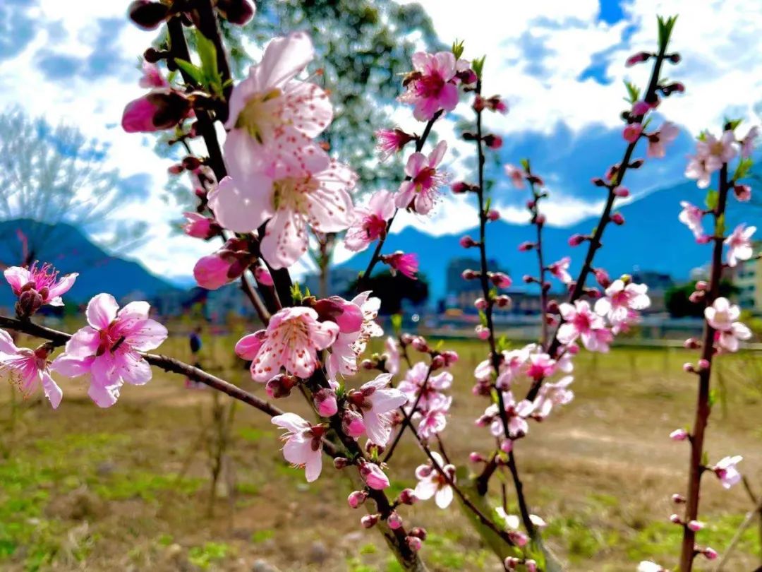 霍童古镇光饼,光饼,继光饼_大山谷图库