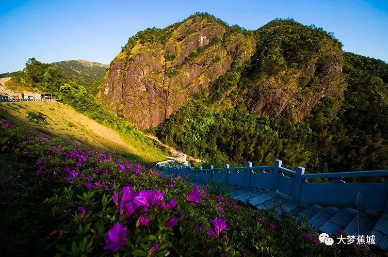 云游蕉城丨12小时玩转虎贝