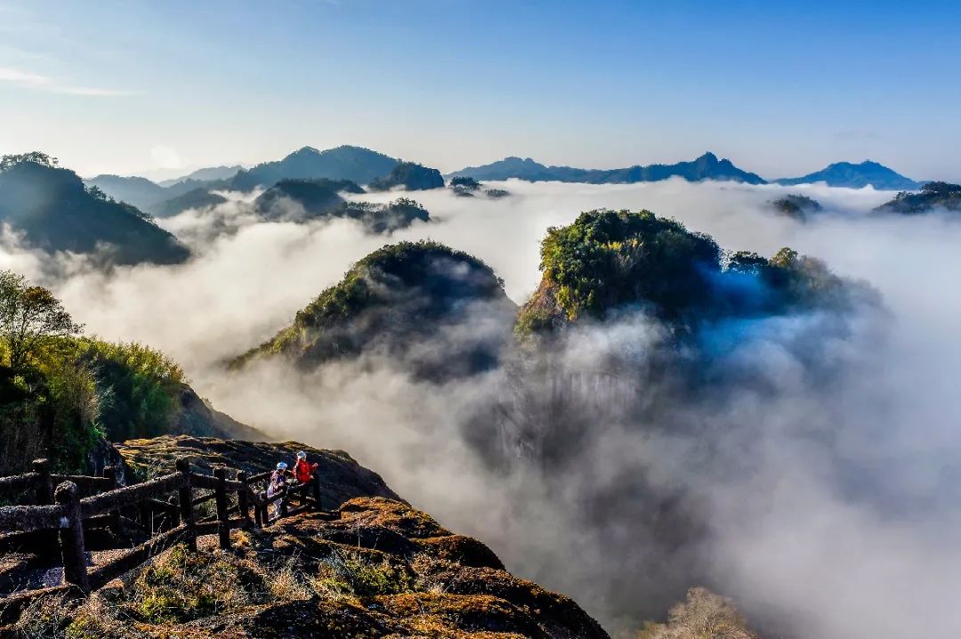 森林里的课堂武夷山国家公园