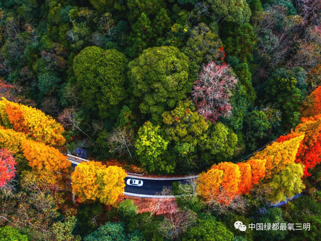 将乐县玉华文旅康养集团寒风瑟起冬意浓橙黄橘绿正当时一起来龙栖山看