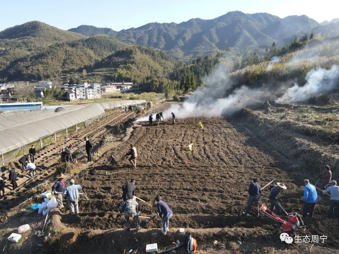 周宁县委,县政府发起"助力粮食安全,我们在行动—农田耕地认领"活动