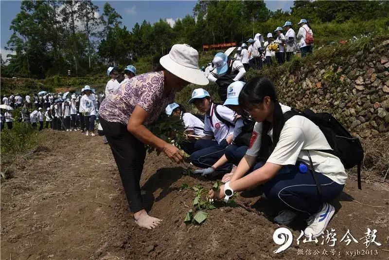 教育走进 仙游一中的食堂,大幅的宣传板引入眼帘,志愿者们在食堂内