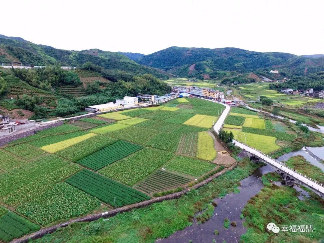 透埕村此外,10月23日—25日期间,在贯岭镇室内篮球馆,十五中户外篮球