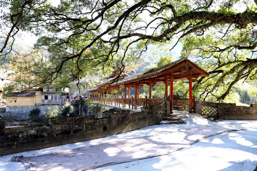 福安桥溪:"筑巢引凤" 古村育"新机"