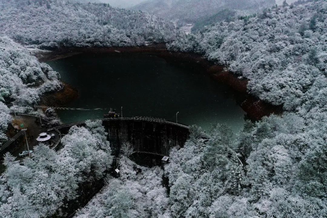 闽北雪景美图合集来啦～真正银装素裹,宛若琉璃世界!