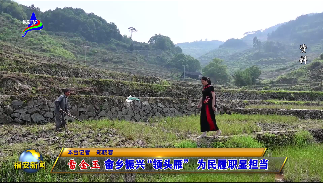 新福安雷金玉是福安市坂中畲族乡后门坪村党支部书记兼村委会主任.