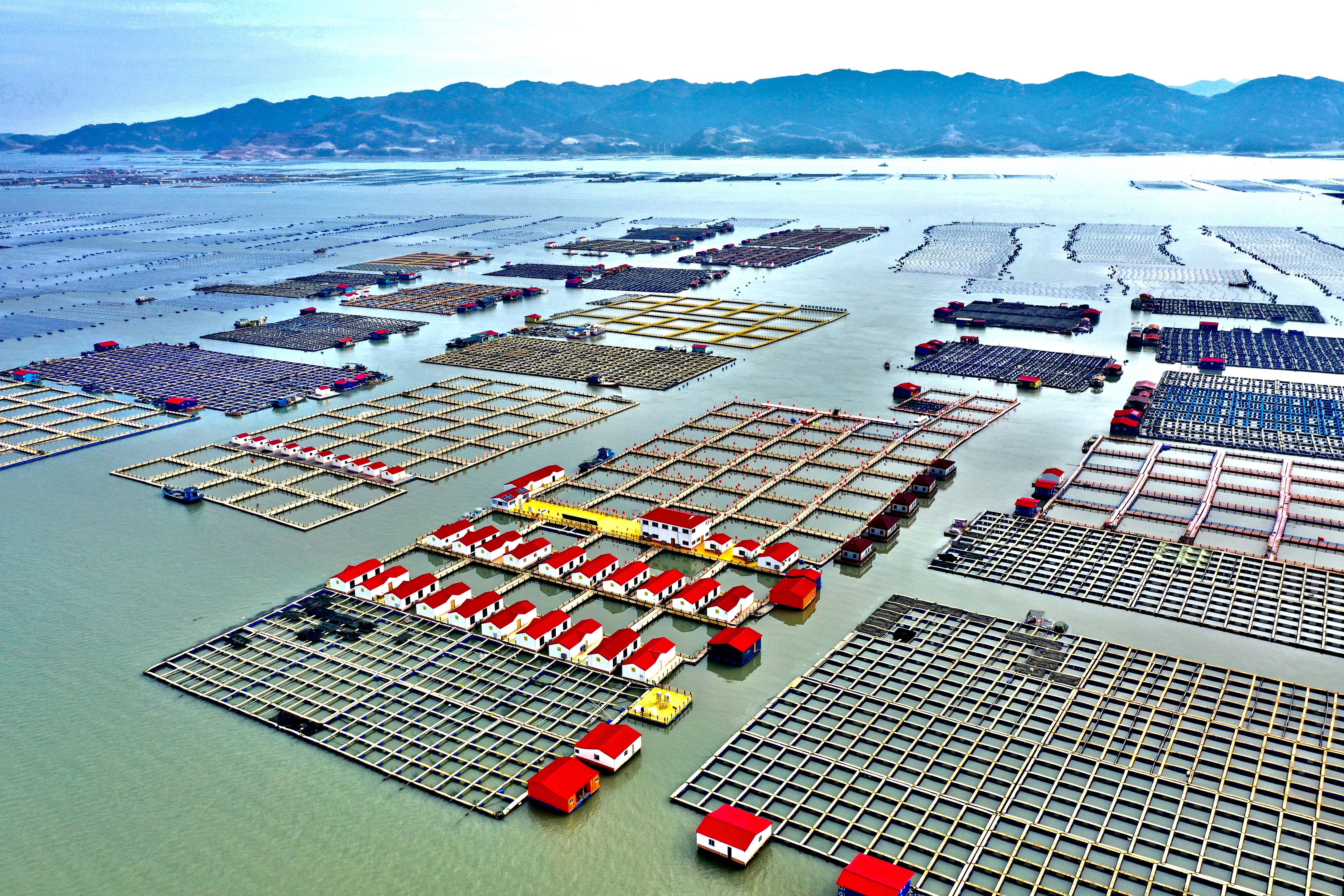 宁德:奋进"十四五",擘画"五个城"