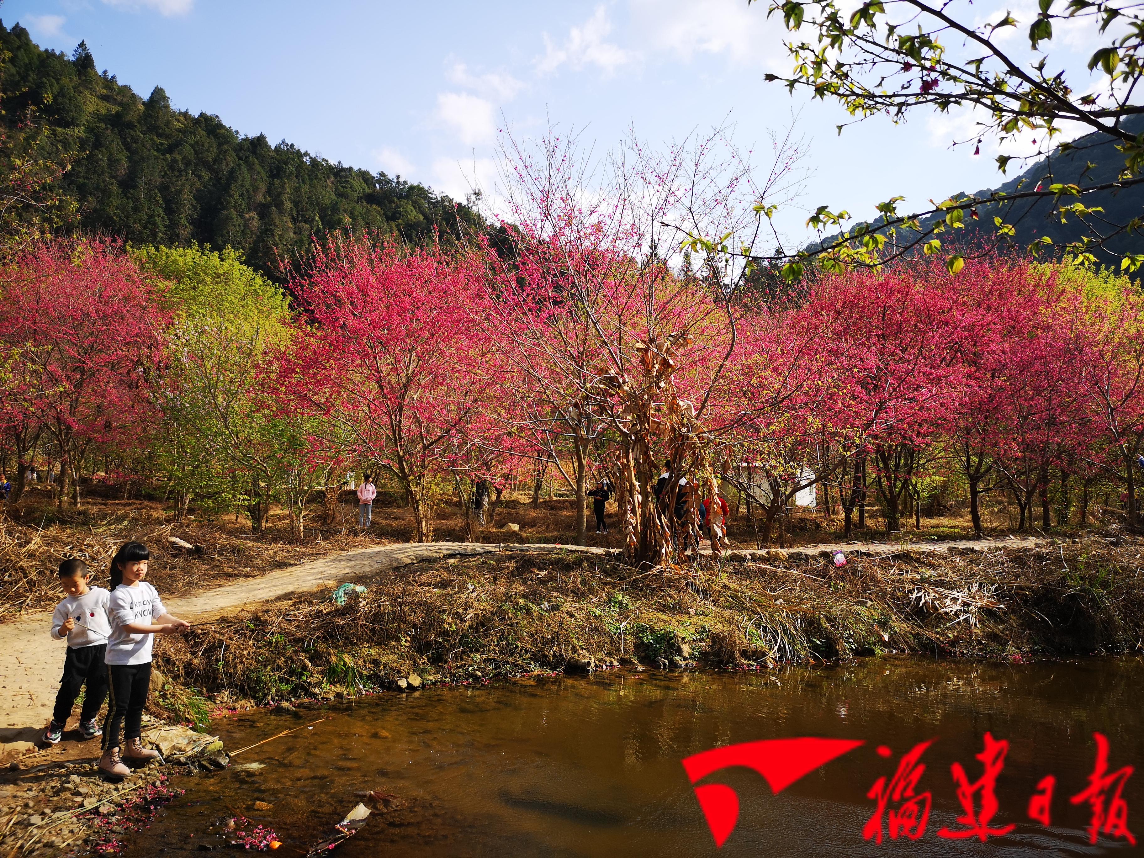 芦溪樱花谷风景区门票图片