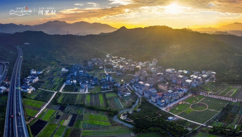 田园芳菲醉游人!来长乐湖里村,和春天撞个满怀