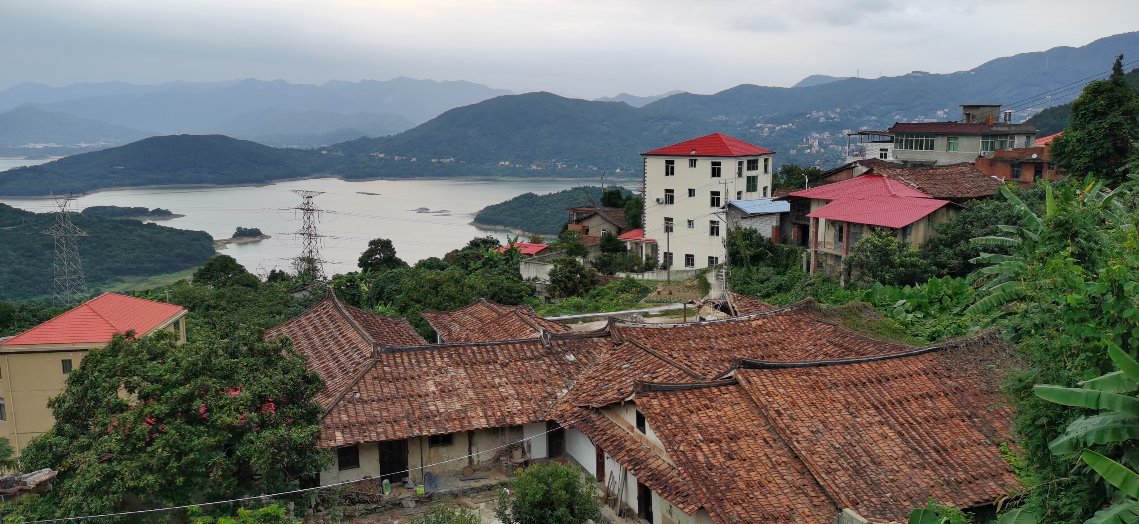 发展新业态!常太镇打造库区乡村振兴样板