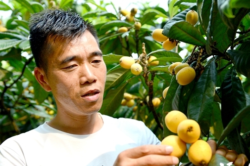 黄培双:煤老板返乡当起新农人