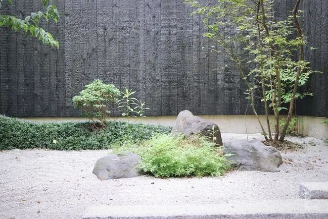 做梦都想在小而美的庭院里 喝茶发呆一整天