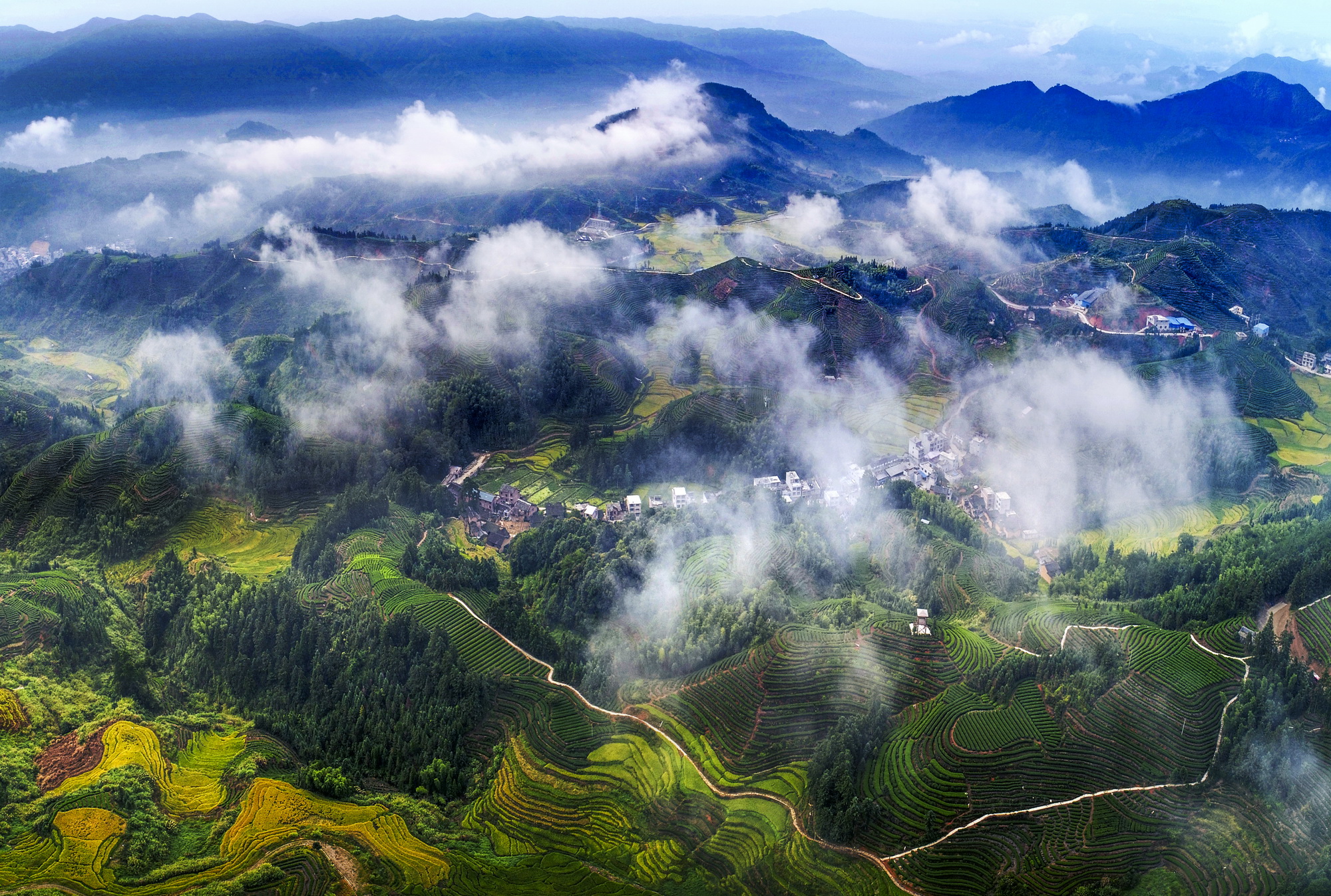 泌阳县周宁图片