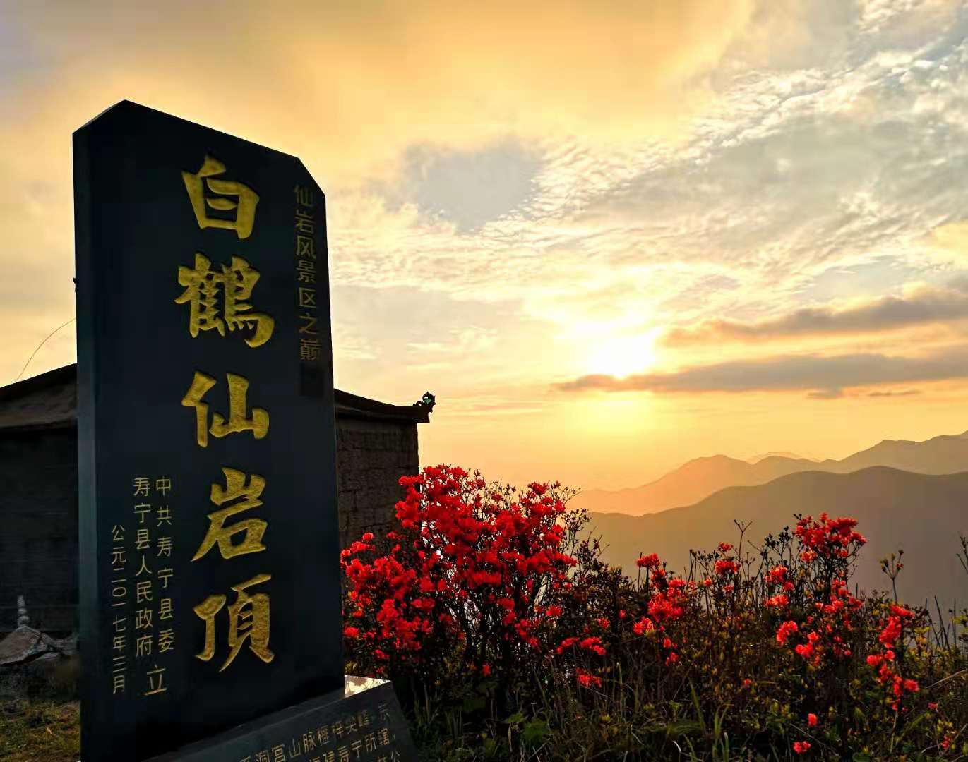 清新福建宁德寿宁又见仙岩杜鹃开