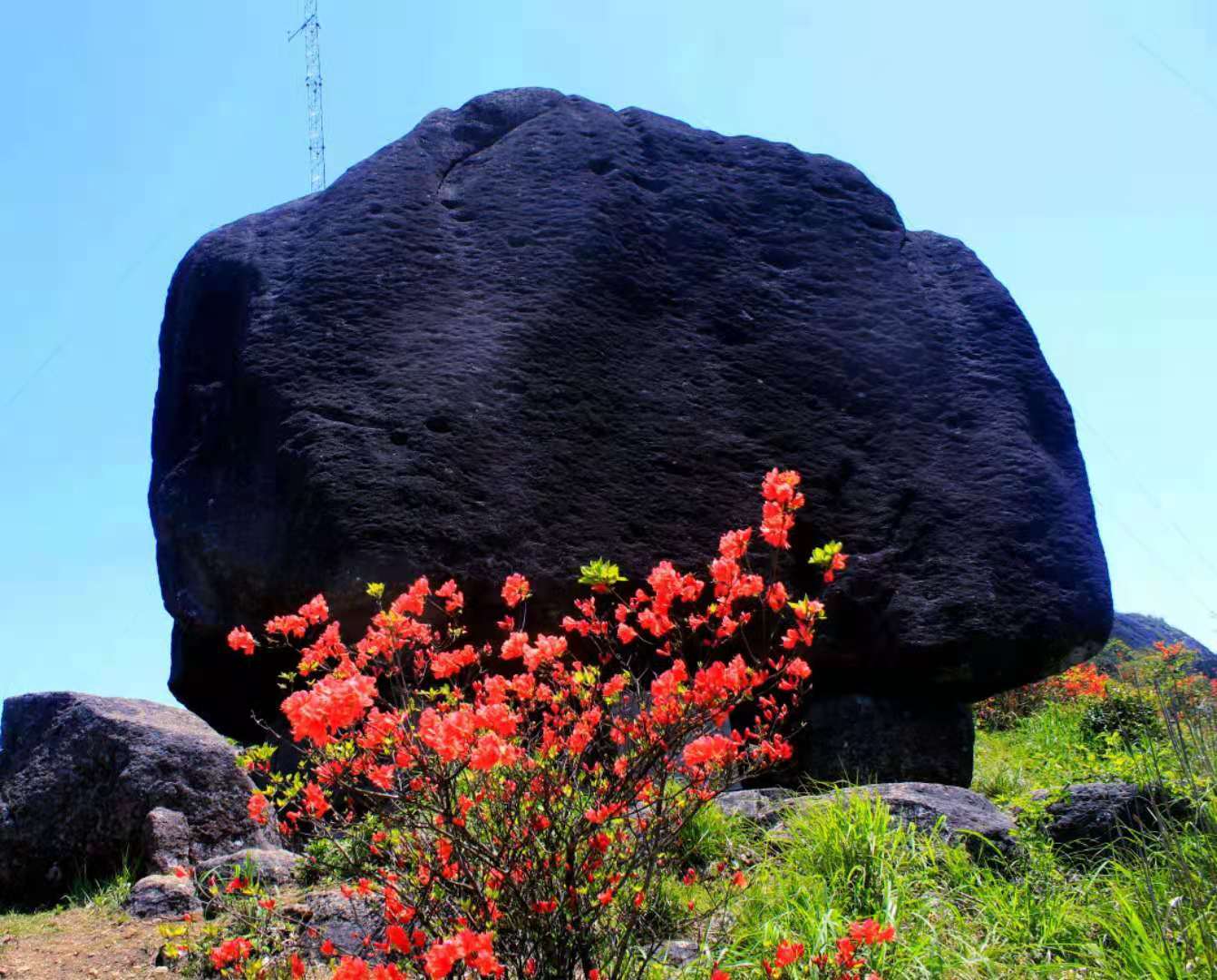 清新福建宁德寿宁又见仙岩杜鹃开