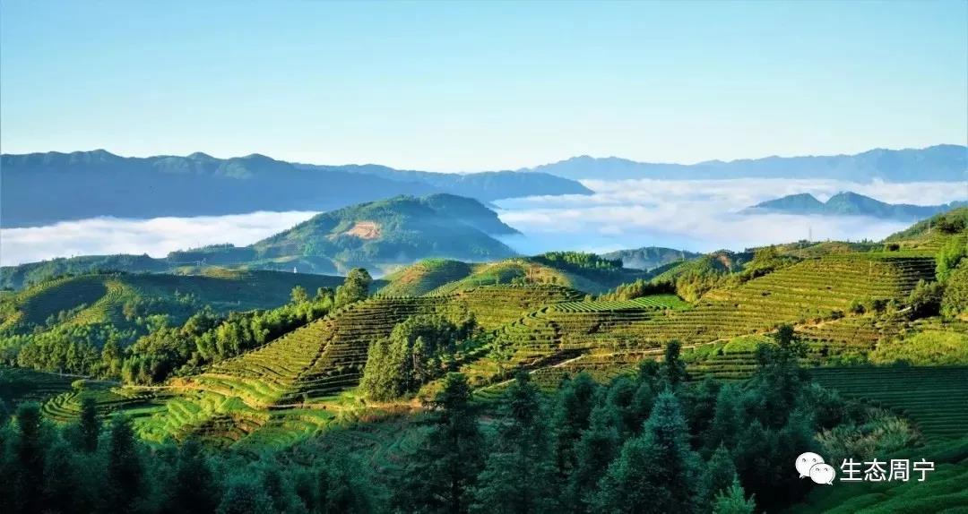 每日一景宁德周宁绵延青山景色如画