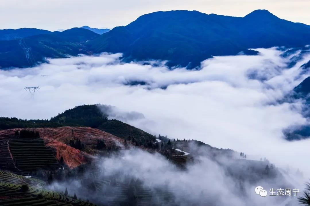 每日一景宁德周宁云归处宛若仙境