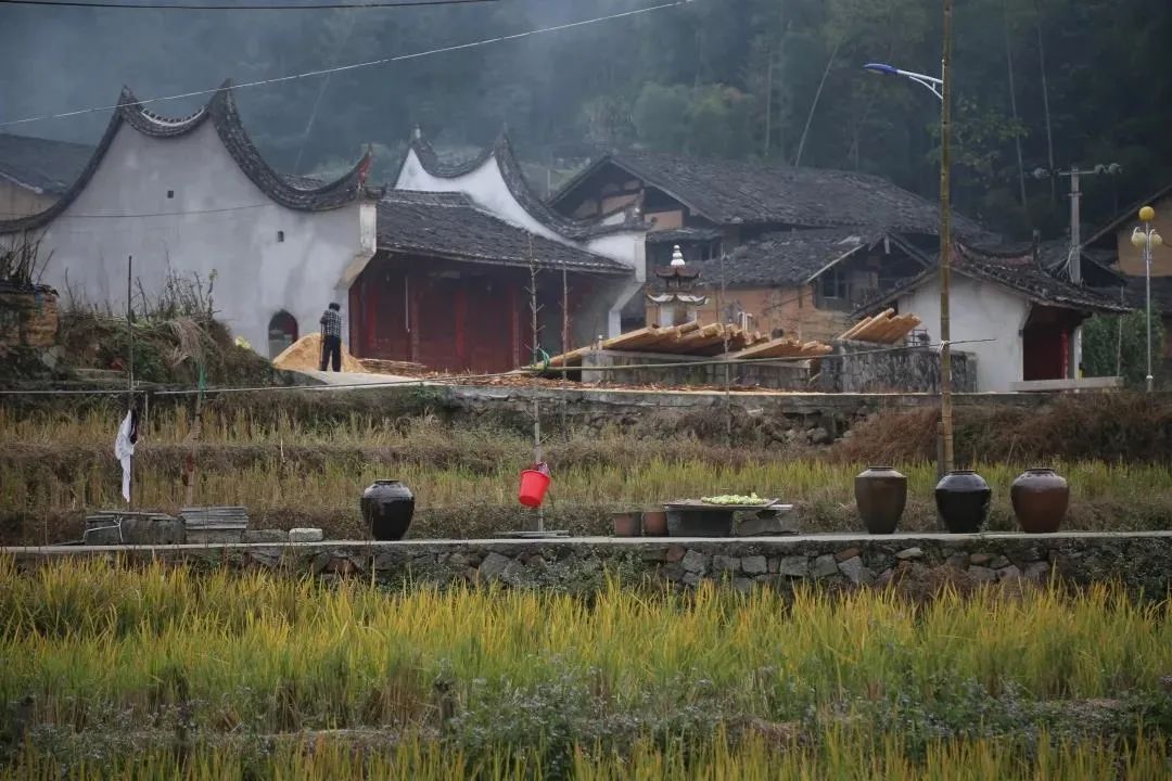 曾有榕桥月雾,鸾峰雪晴,荔林晓露,潮江晚舟