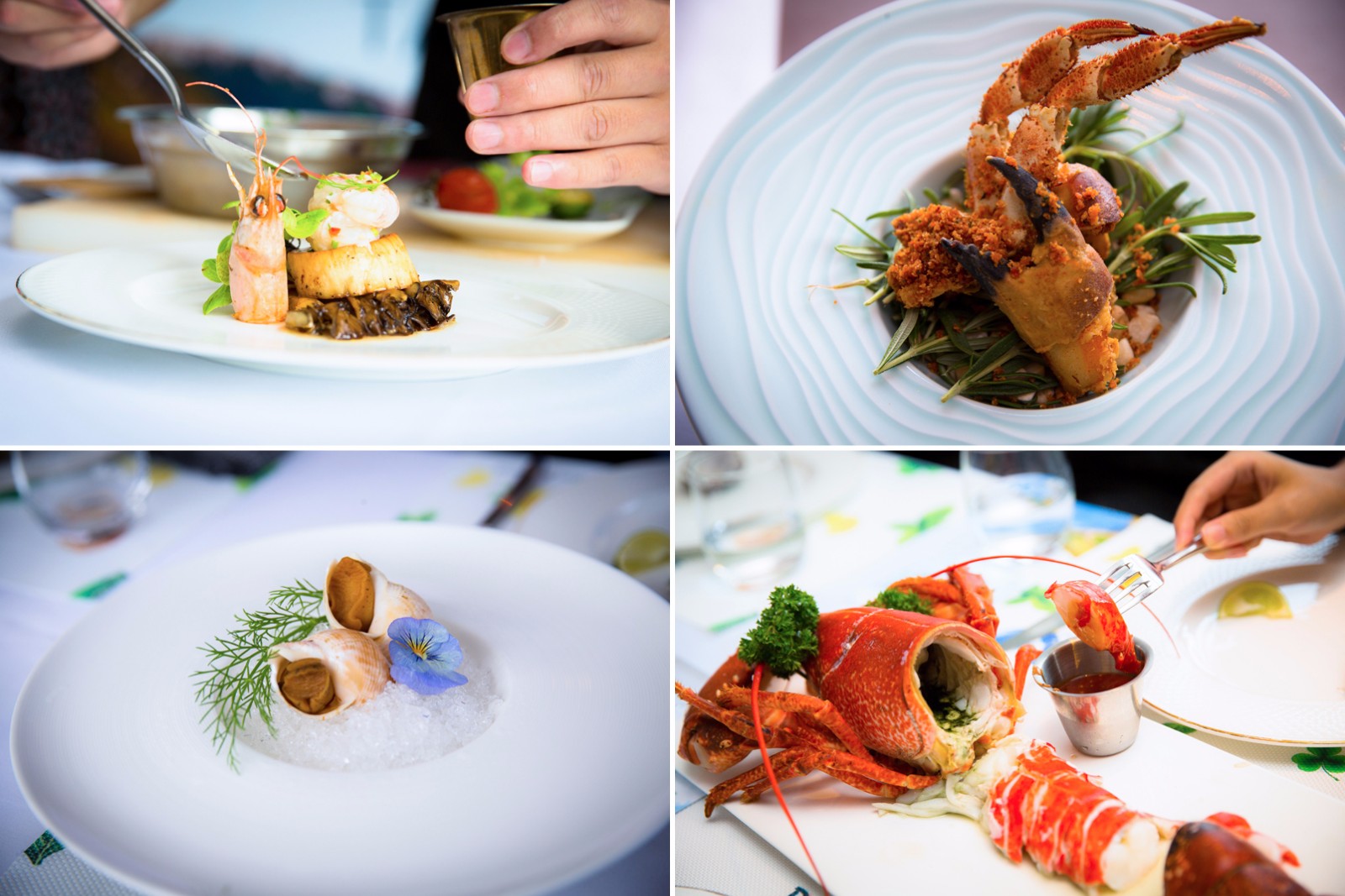 爱尔兰食品局海鲜品鉴会于福州圆满落幕