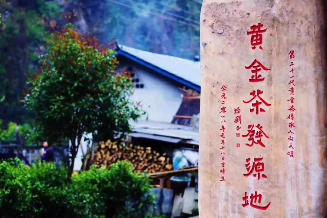 百茶百味| 一两黄金一两茶！这款茶很shine很“金贵”！