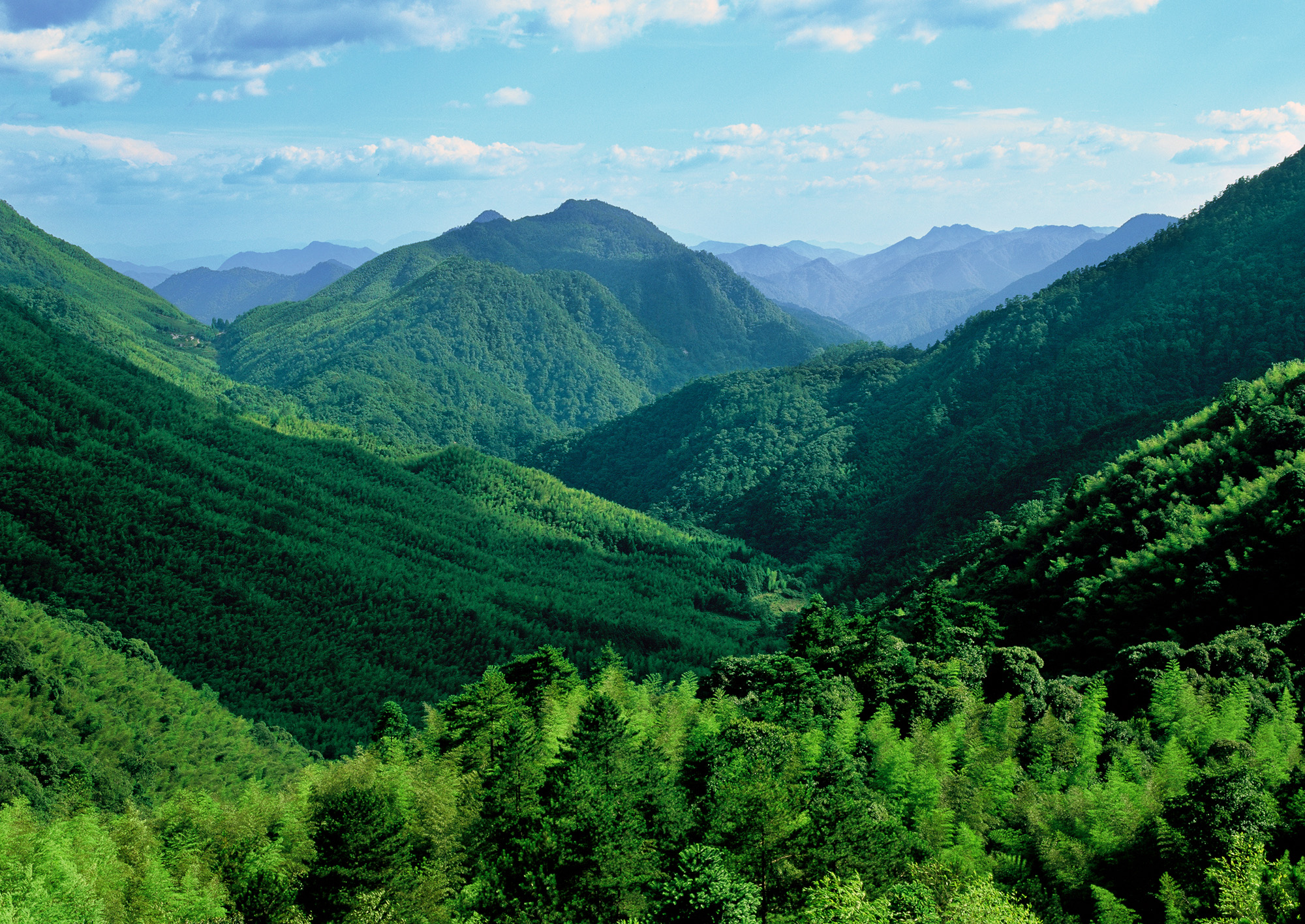 你好这里是武夷山国家公园