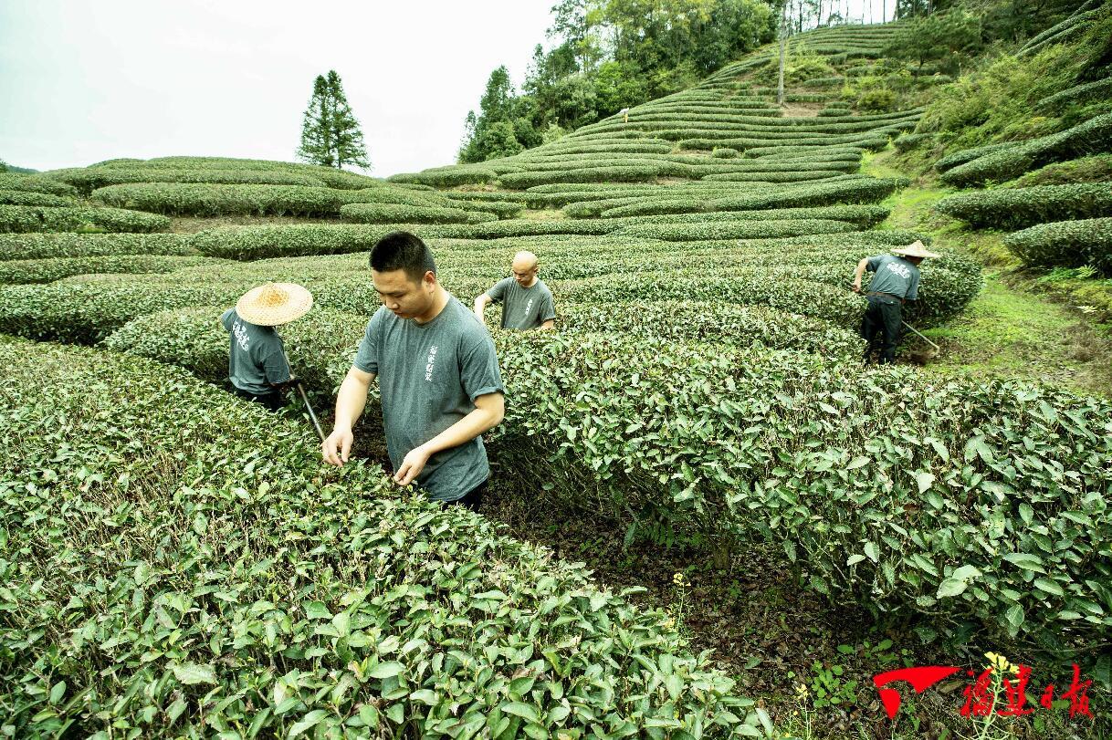 看福建这份答卷，有山有海，有你有我