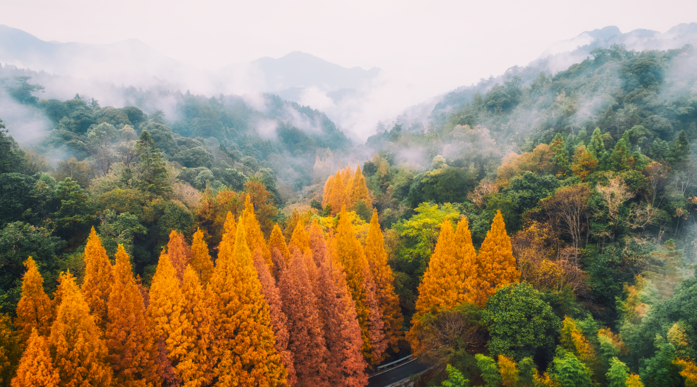 龙栖山自然风景区简介图片