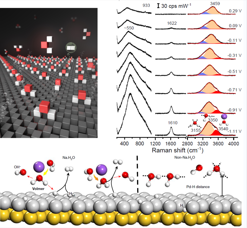 再发Nature！厦大团队揭示界面水分子结构