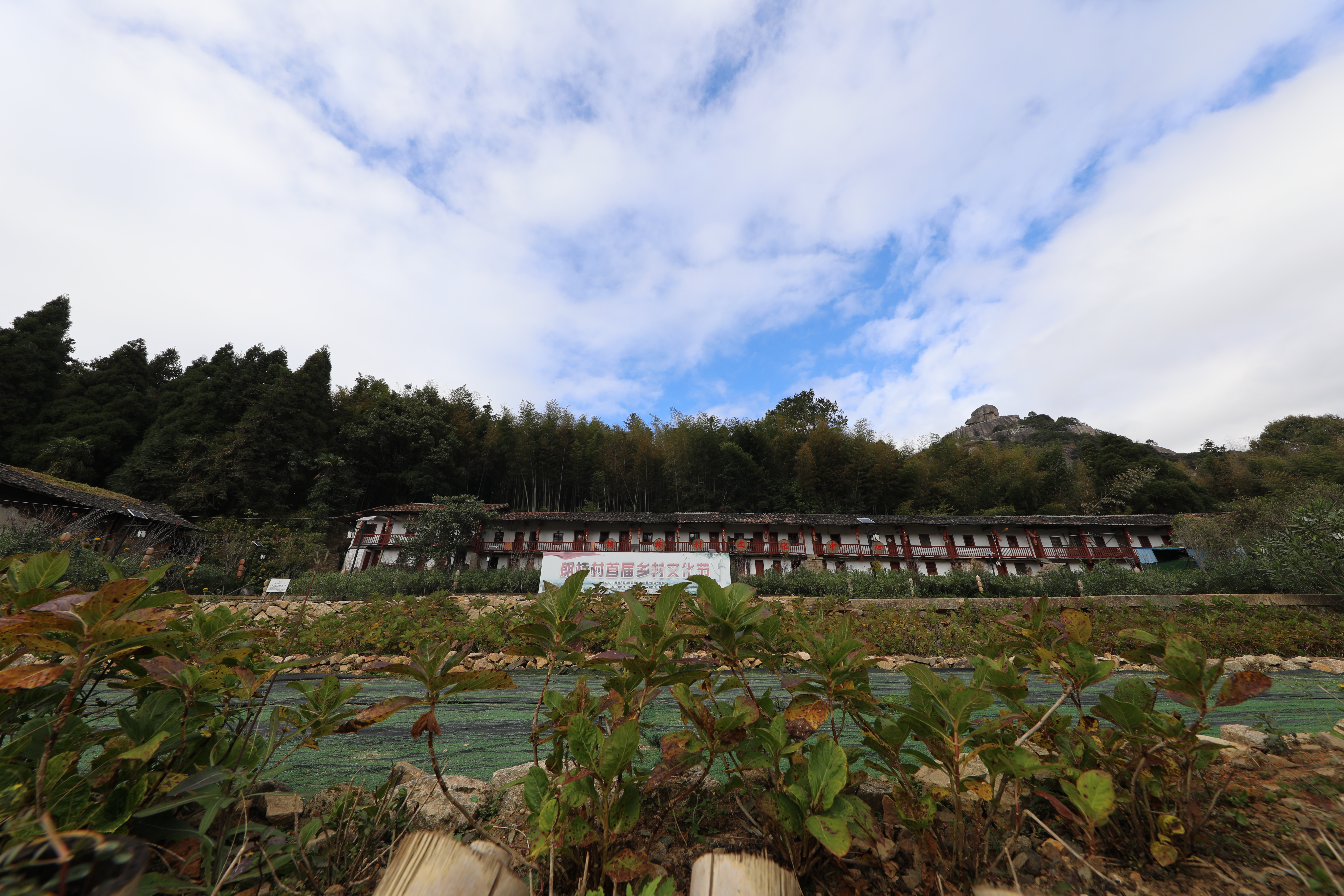 仙游:打造美丽乡村样板,吴文恩到钟山镇调研乡村振兴工作