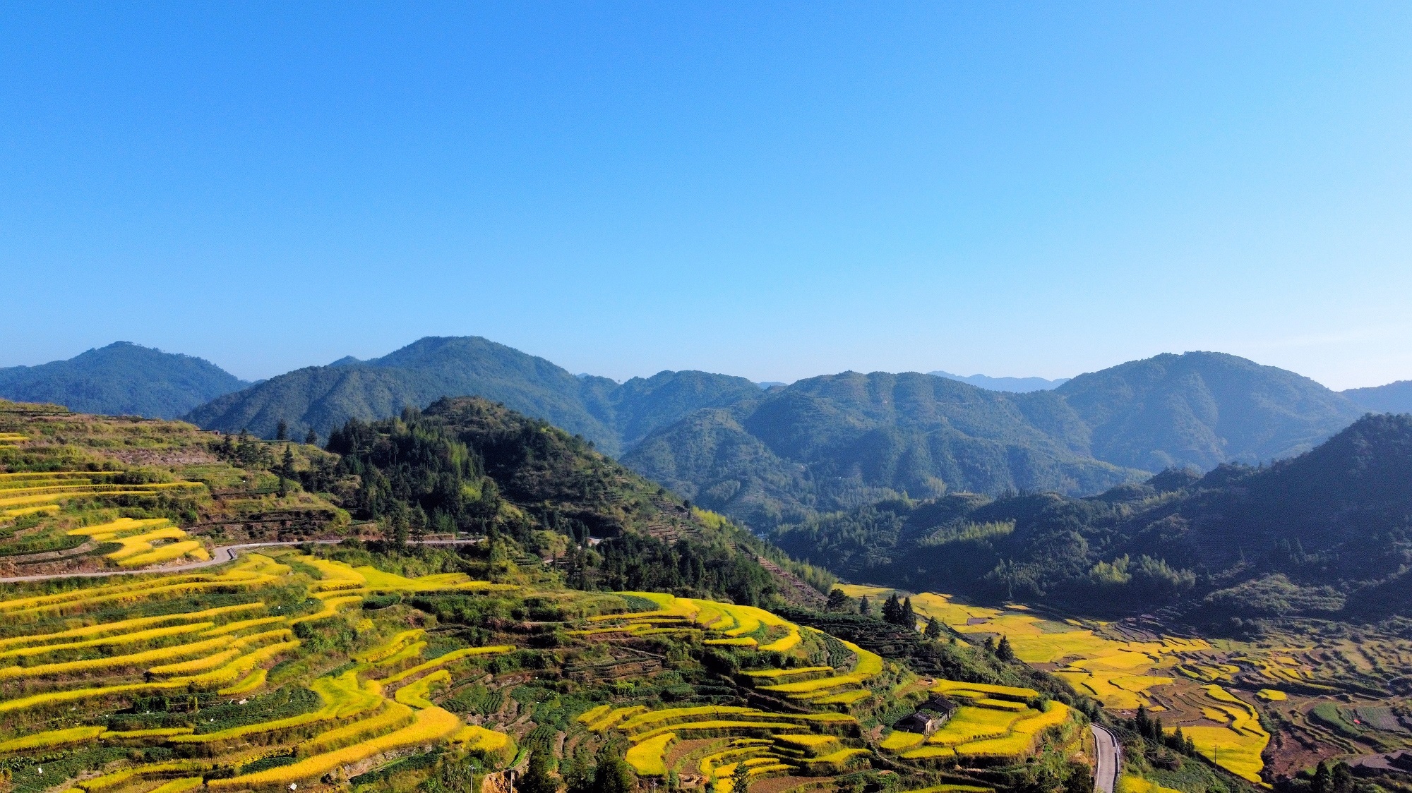每日一景宁德寿宁大安乡梯田风光