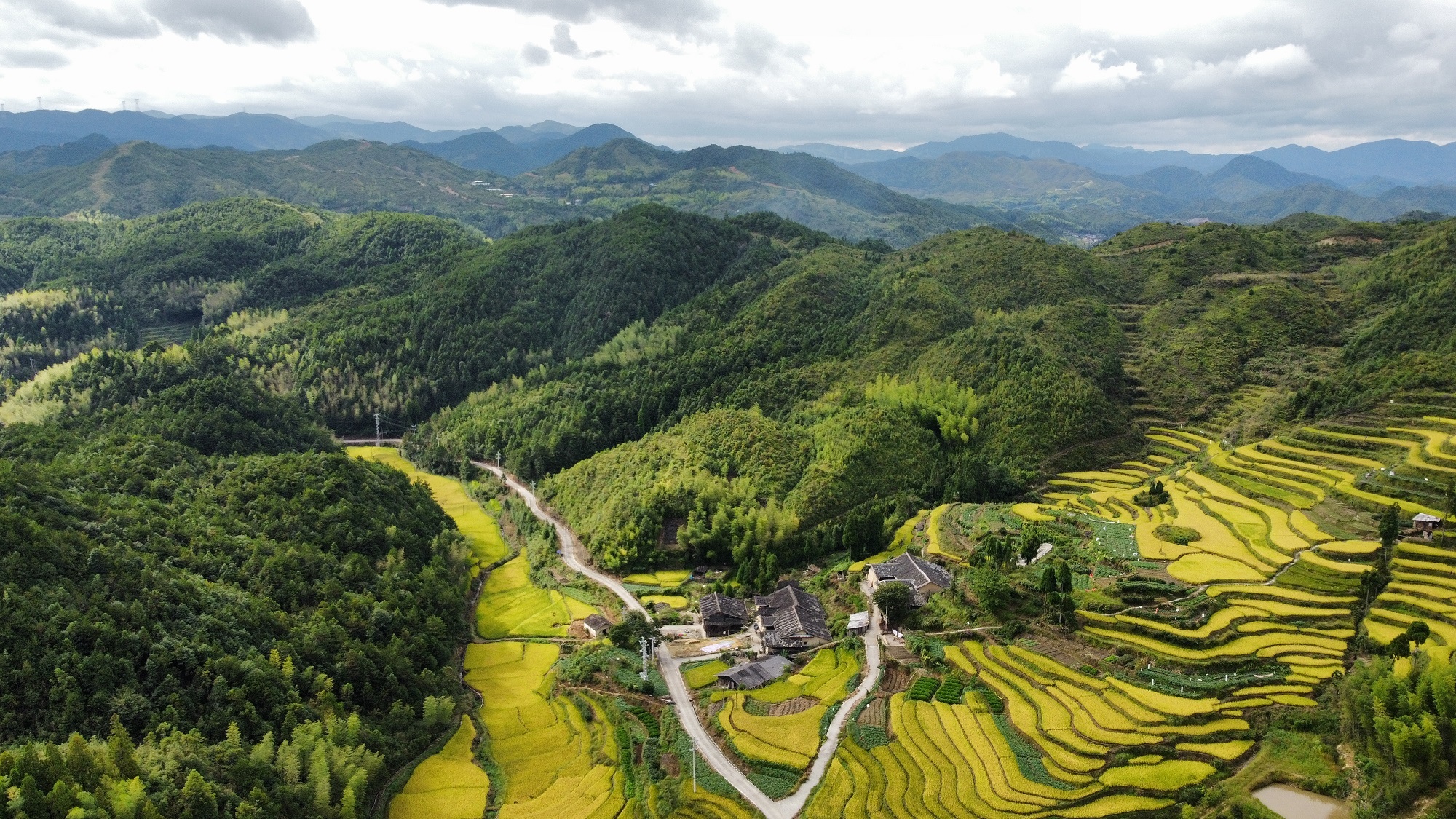 每日一景宁德寿宁大安乡梯田风光