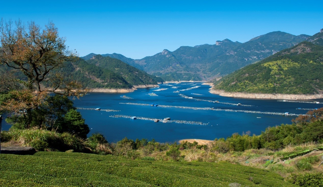 2020年底,洪口水库网箱养殖被水利部及福建省列入河湖"四乱"问题要求