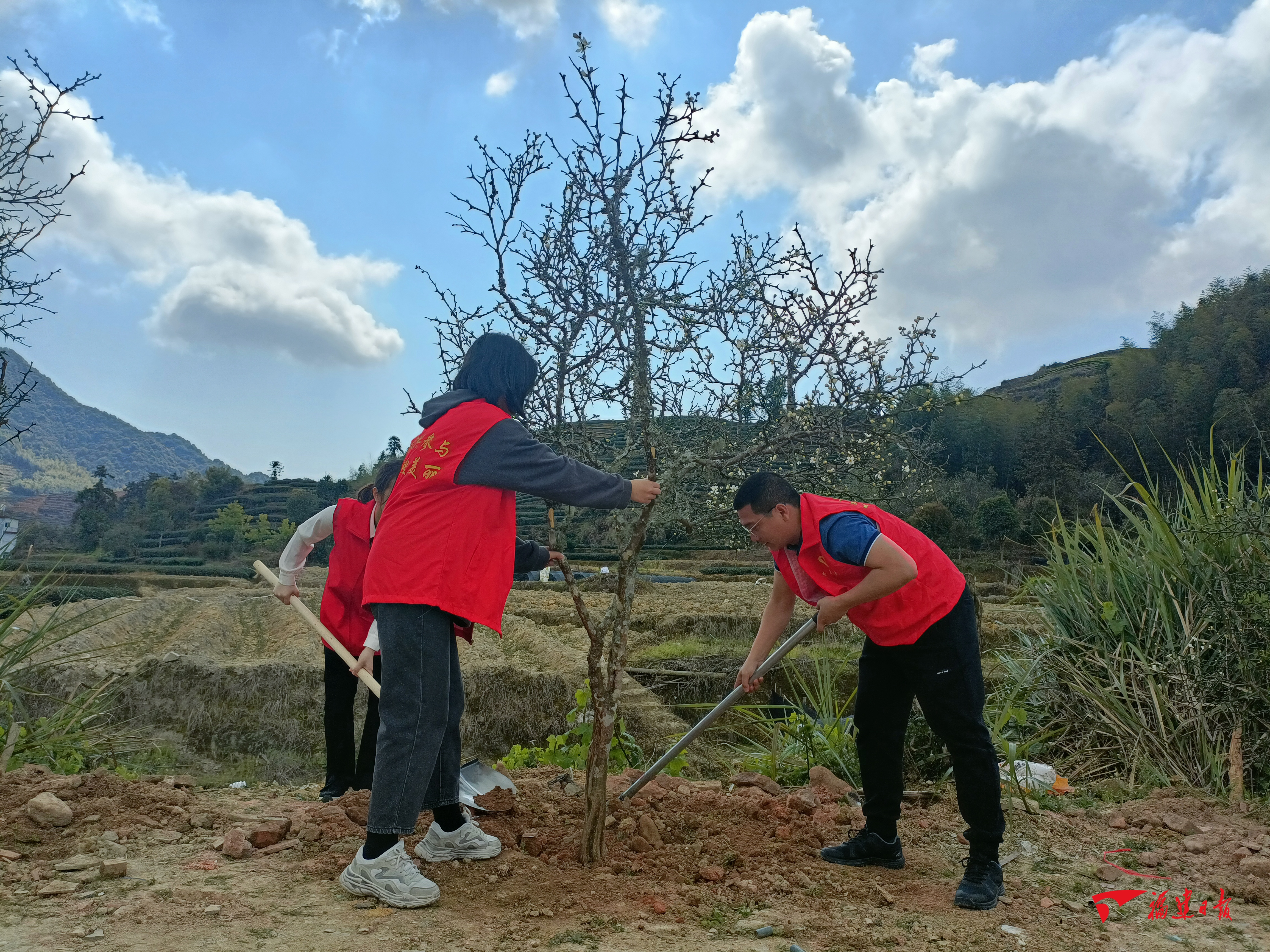 植树添新绿 助力产业兴