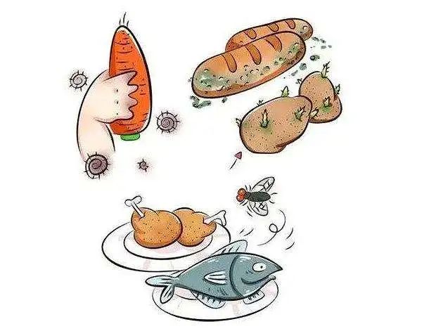 有毒动植物性食物中毒主要关注河豚鱼中毒.