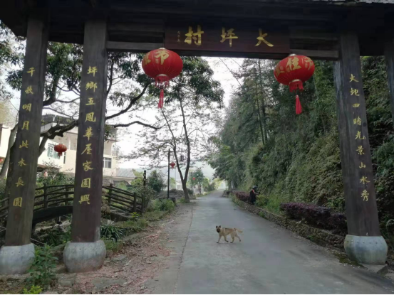 华安县湖林乡大坪村:打造民宿花海  助力乡村振兴