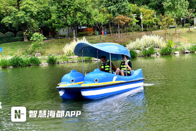 游客可以选择古典船型,4人脚踏船,还有孩子们喜欢的卡通游船,双体海豚