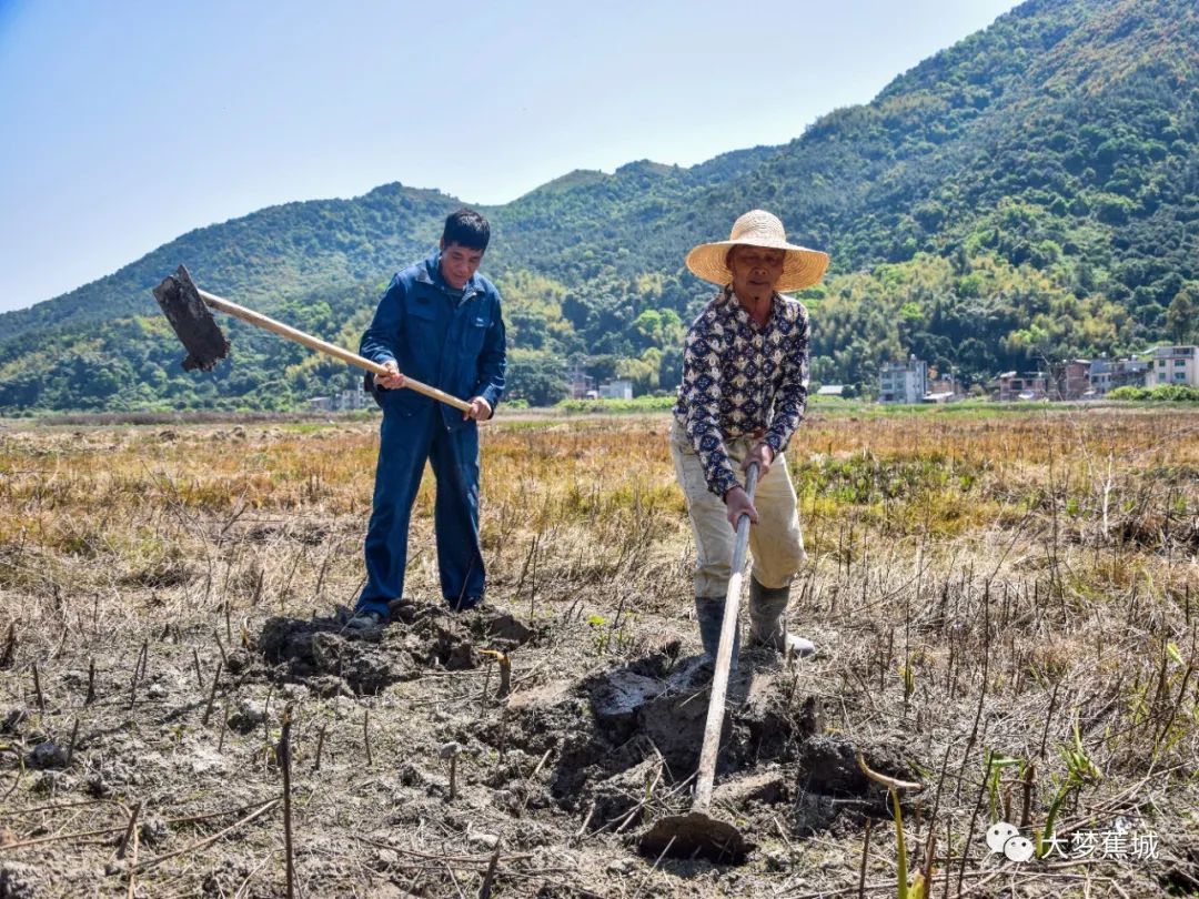 荒地变良田三都海岛开荒复垦忙