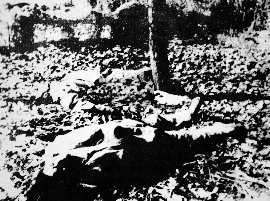 1943年,日寇对太行山区进行了"大扫荡",在马兰村制造了"马兰惨案"