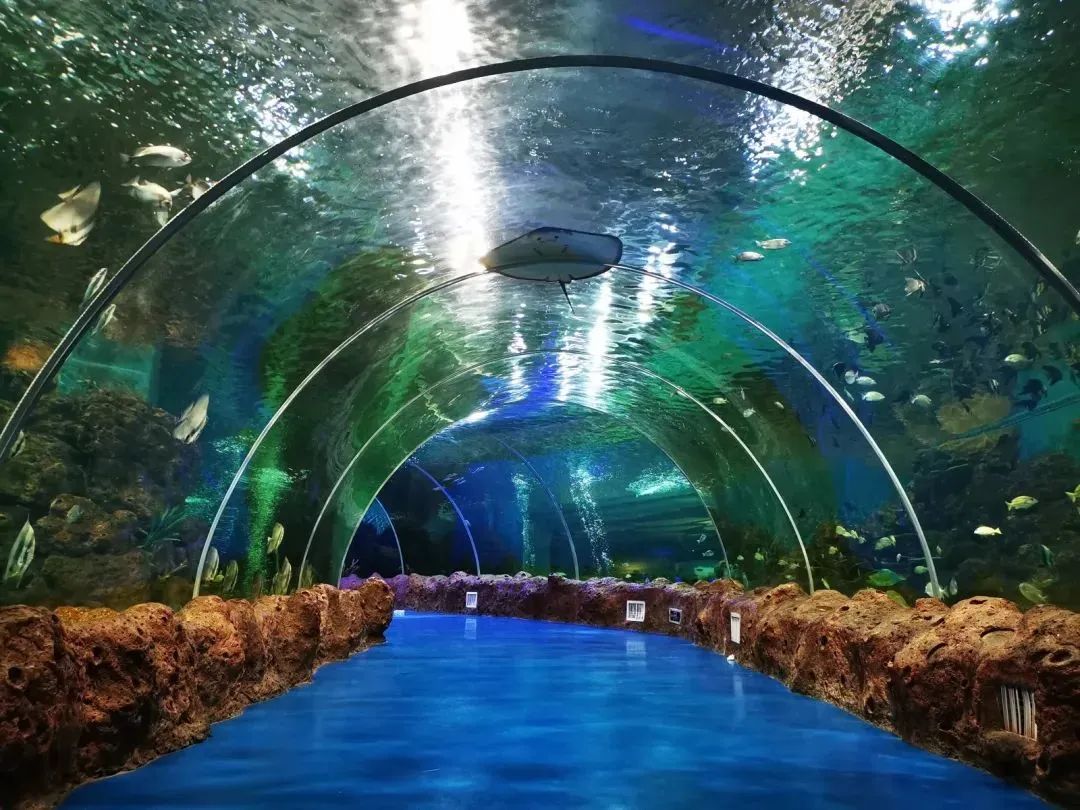 南平六一出游指南