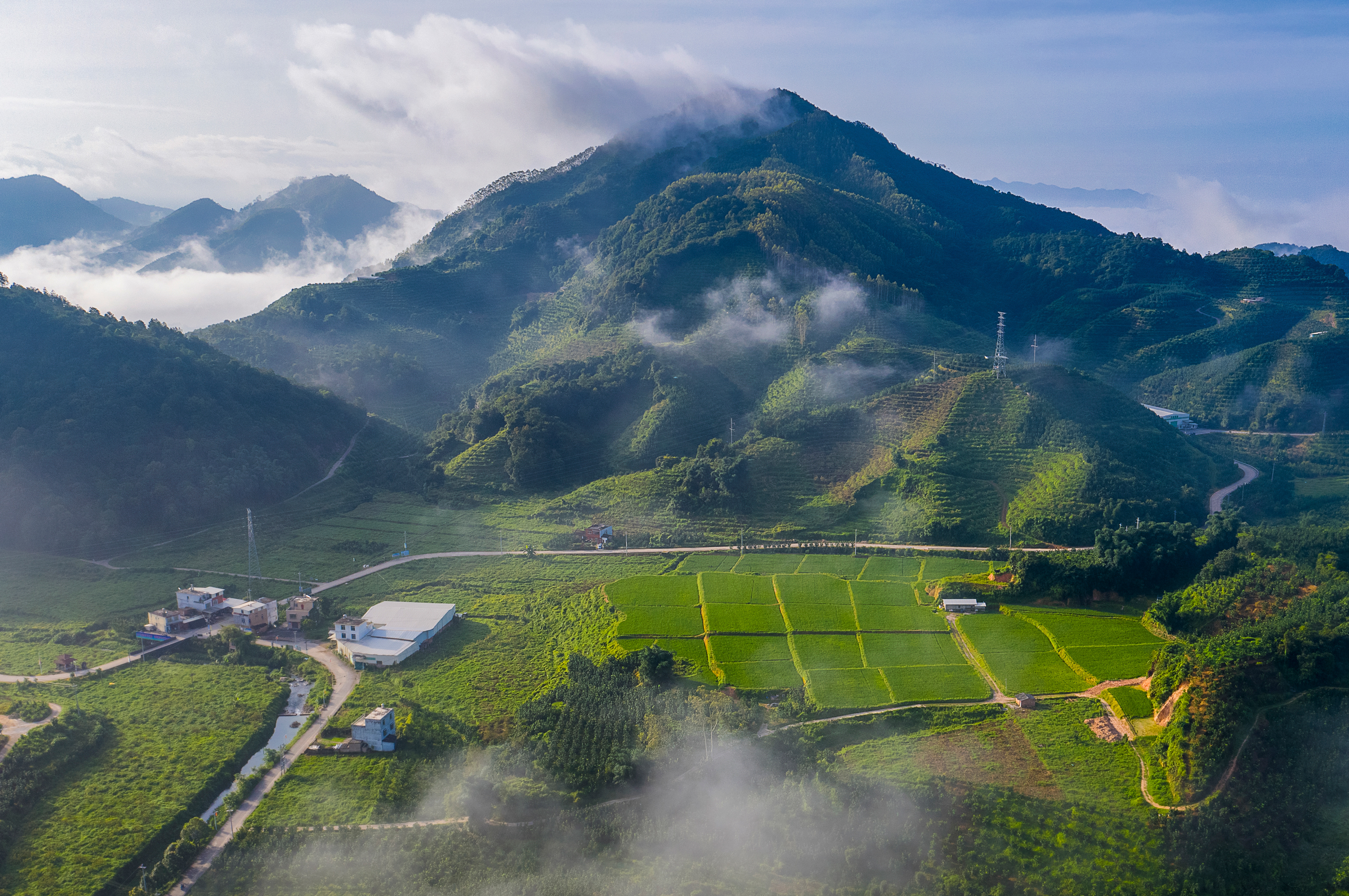 福建日报-新福建客户端讯(林超麟)今年以来,平和县国强乡以"调结构,美