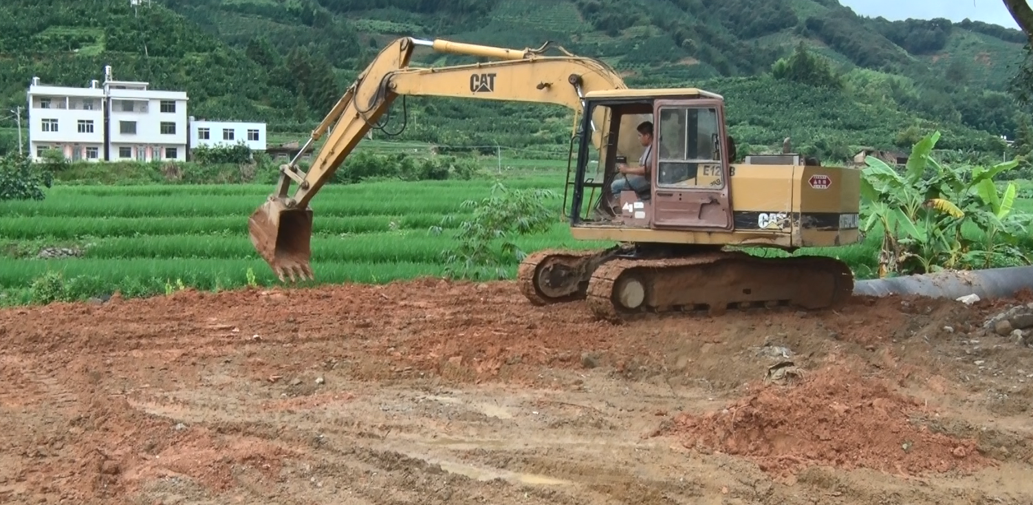 福建日报-新福建客户端【通讯员:黄宇雄】连日来