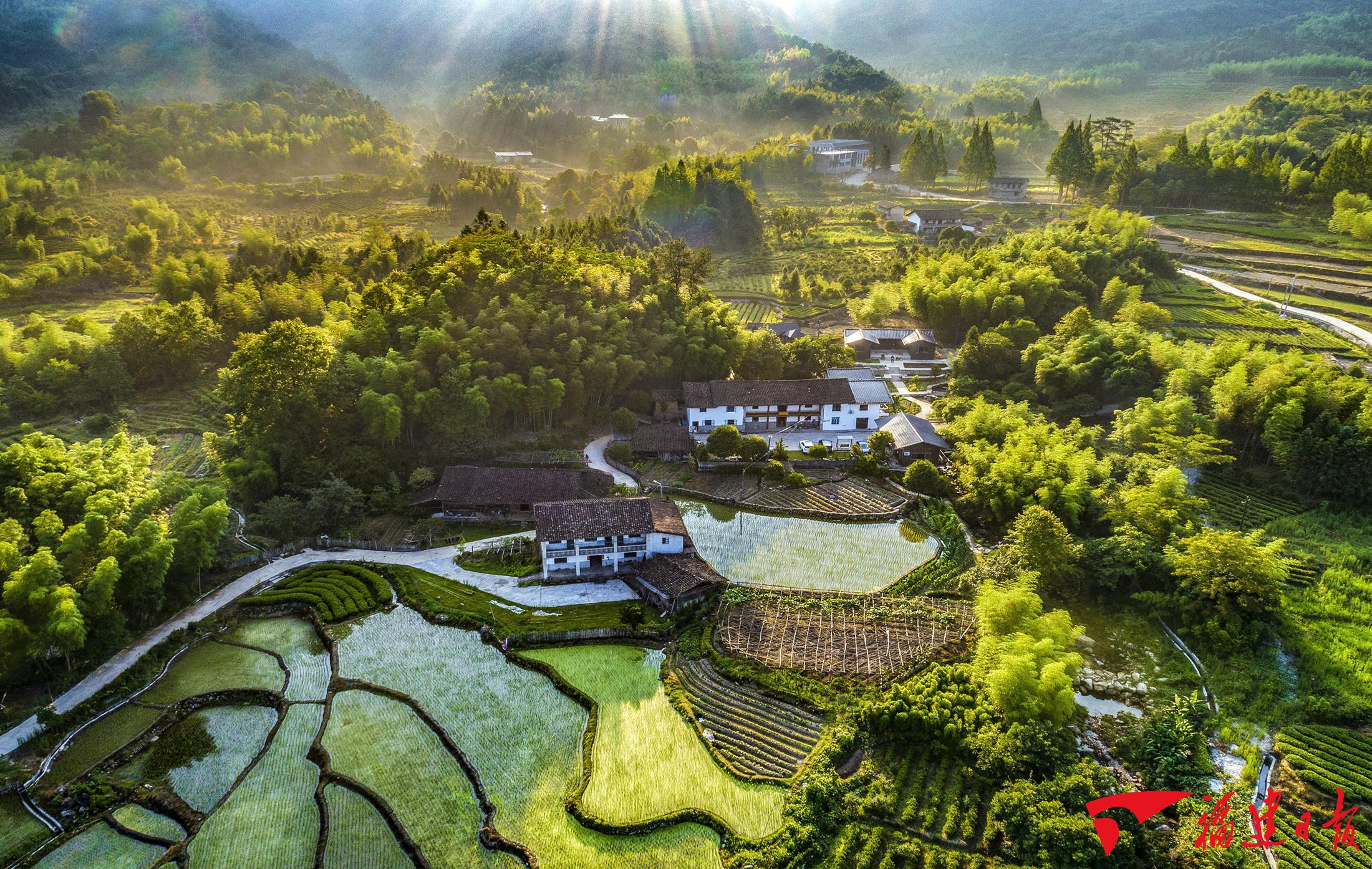 建阳上好生态底色打造绿色茶乡