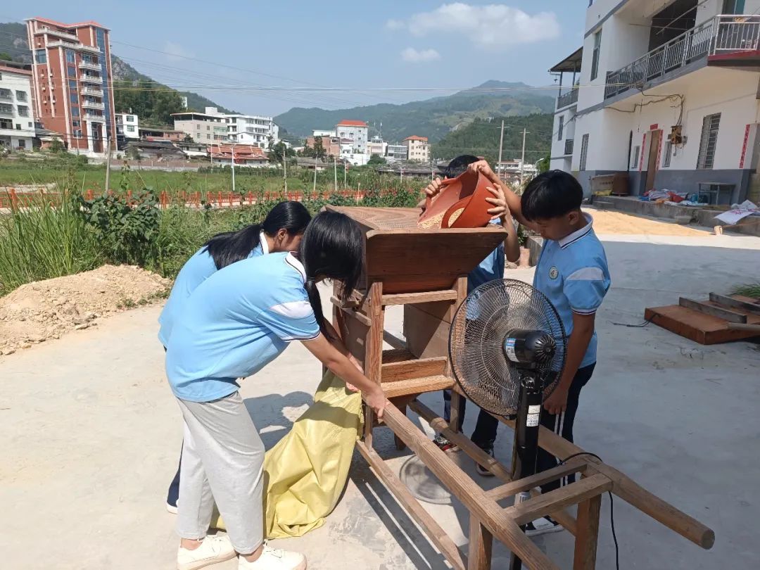 "安溪县桃舟中学校长杨伟江告诉记者同学们在田野上劳作能够让学生更
