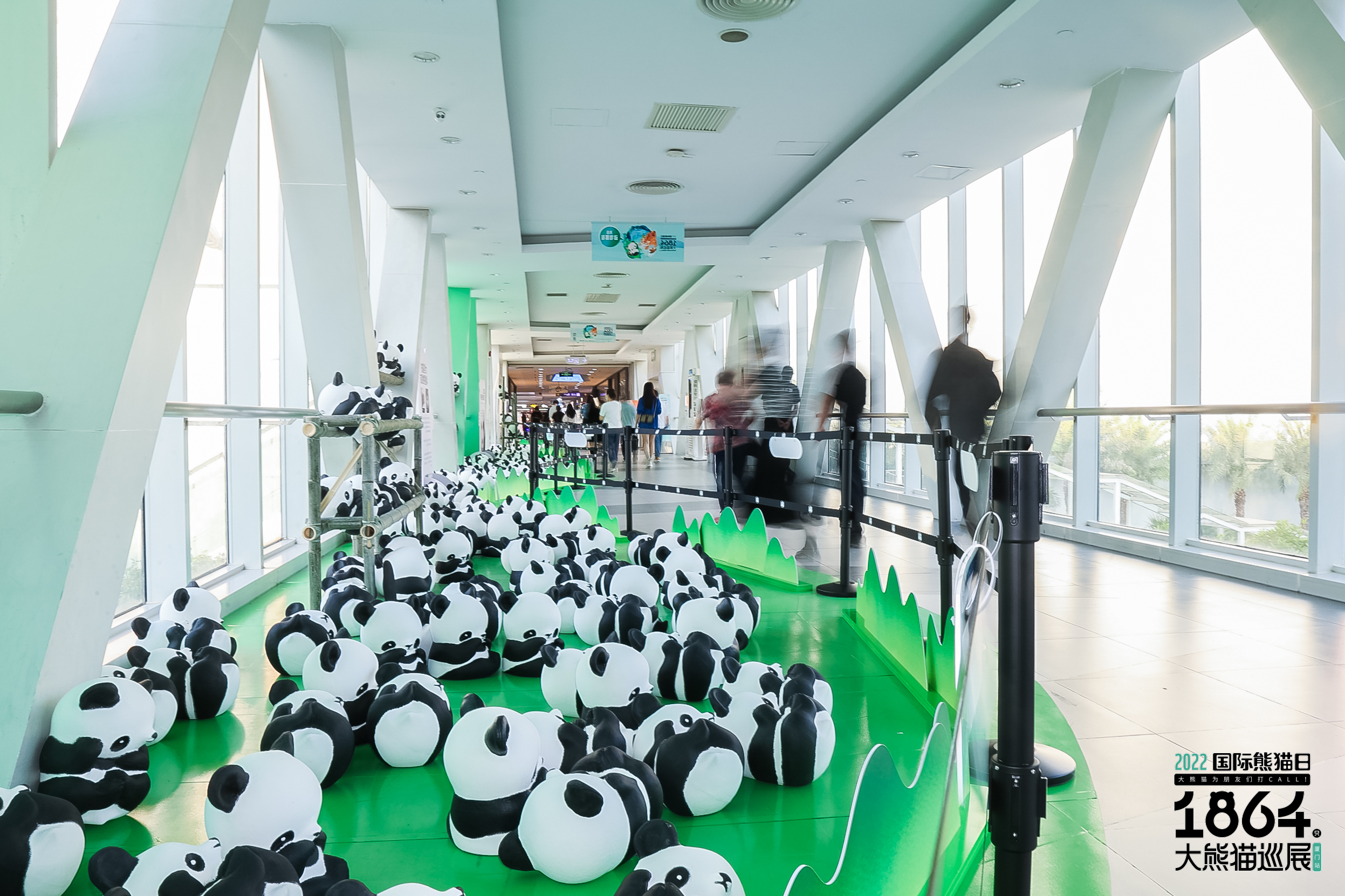 27日晚,在第六个国际熊猫日之际,"1864大熊猫巡展"在厦门sm广场举行
