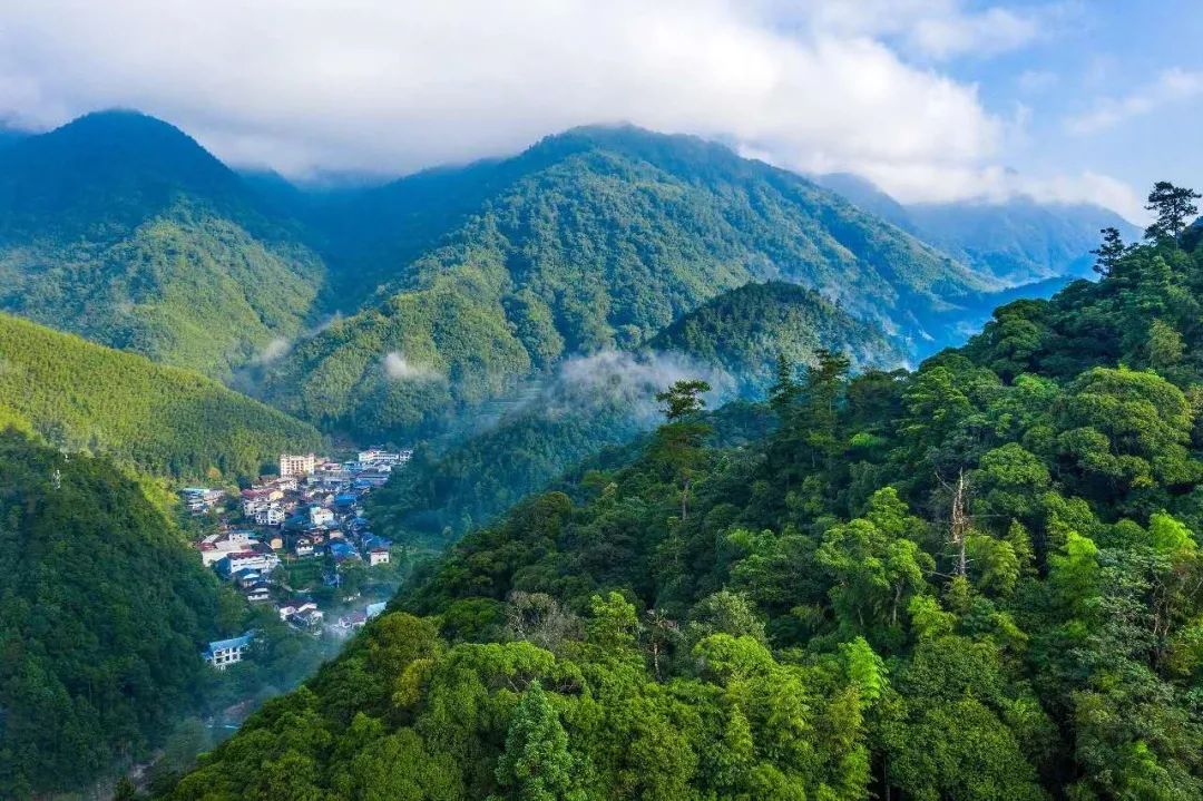 武夷山星村镇桐木村入选全国一村一品示范村镇