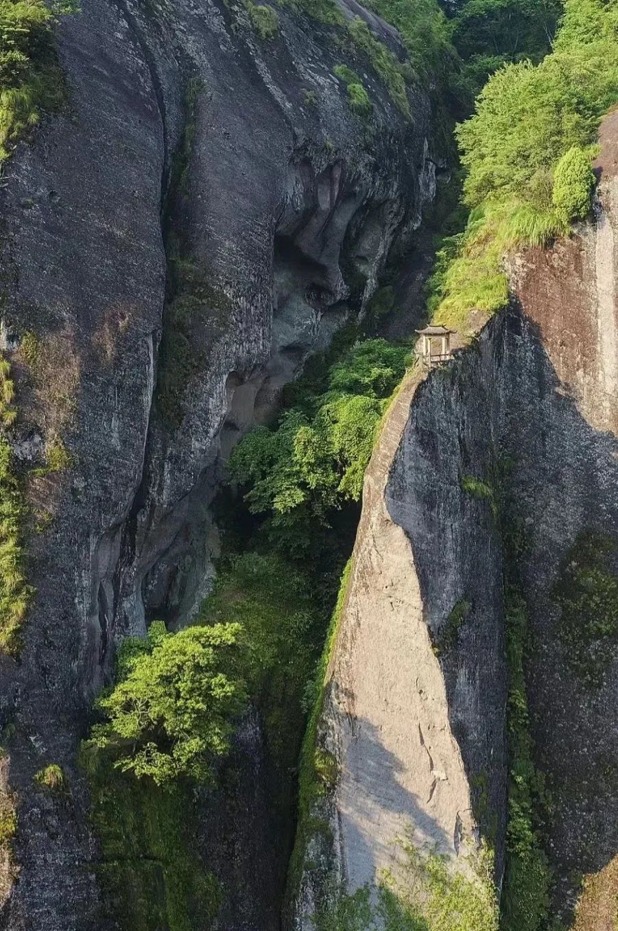 向往的城市 | 南平·武夷山