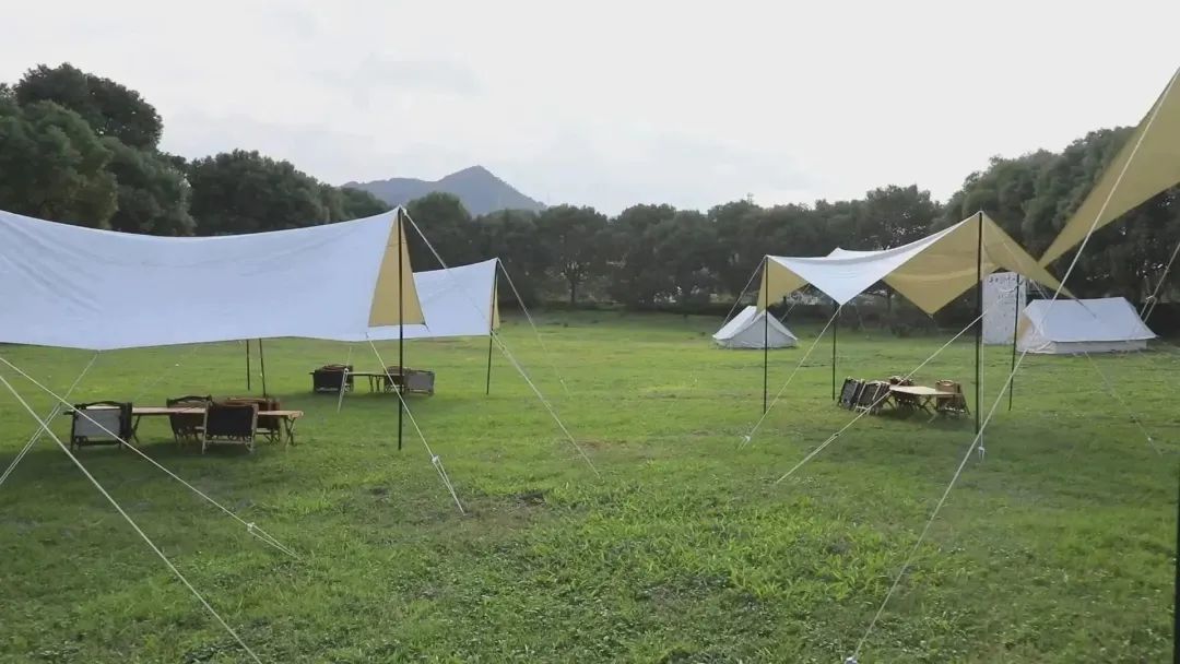 走进千江月休闲农场,满眼都是茵茵绿草,在蓝天白云的映衬下,让人仿若