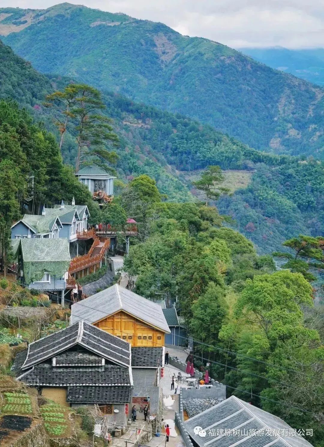 福安棕树山度假村图片