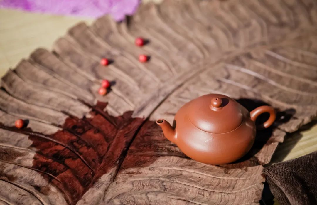 武夷岩茶非遗档案｜碧水丹山一壶茶